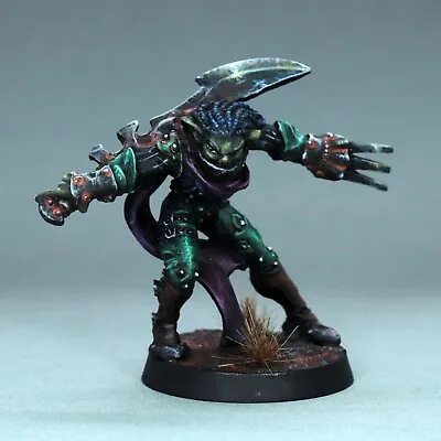 Painted Female Half-orc Assassin Barbarian Ranger D&d Miniature Rogue Lurg Reven • £130.20