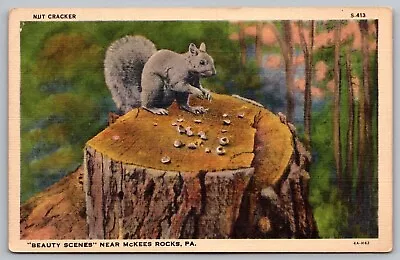 Nut Cracker Beauty Scene McKees Rocks PA Pennsylvania Linen Postcard UNP VTG • $7.99