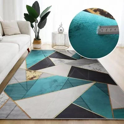 Printed Carpet Living Room Large Area Rugs Bedroom Carpet Modern Home  • $38.16