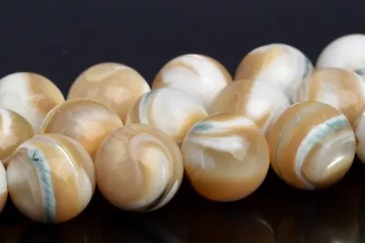 Natural Beige Trochidae Shell Beads Grade AAA Round Loose Beads 8-9/9-10/12-13MM • $7.01