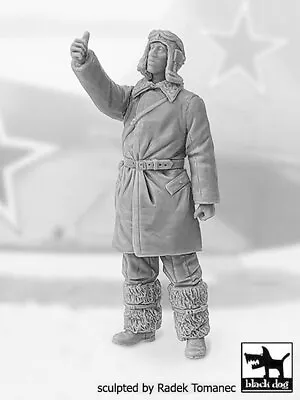 Black Dog 1/32 Soviet Russian Fighter Pilot 1940-1945 WWII #1 Thumbs Up F32148 • $23.97