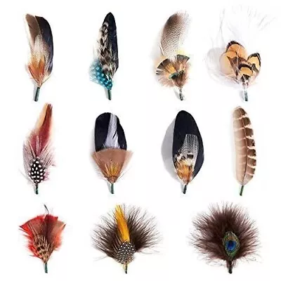 MIX BROWN Hat Feathers Assorted Natural Feather Packs Accessories For Fedora    • $14.60