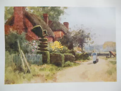 £5.99 • Buy Original Edwardian 1909 HAMPSHIRE Print - Clipped Yew, Old Basing - Wilfrid Ball