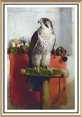 Edwin Landseer Wildlife Art Print - Peregrine FALCON Bird Of Prey Falconry Falco • £1.45