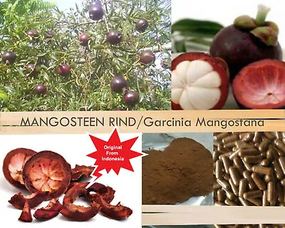 360 CAPSULES MANGOSTEEN Garcinia Mangostana Mangustan Organic Wild Crafted Herbs • $64.95