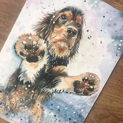 Cocker Spaniel Greetings Card A5 (blank Inside) All Proceeds To Spaniel Aid UK • £2