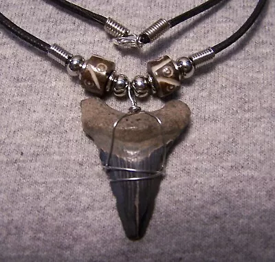 Megalodon Shark Tooth 1 1/2  Necklace Sharks Teeth Large Fossil Diver Gem Color • $16