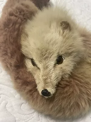 Vintage  Fox Fur Stole Real Fur Wrap Scarf  Whole Fox Pelt REALLY NICE! • $49.95