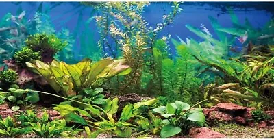 48X24 Inches Aquarium Background Aquatic Plant River Bed & Lake Fish Tank Backgr • $14