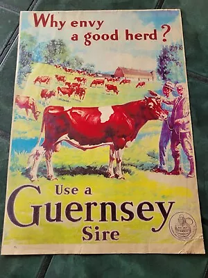 Vintage GUERNSRY Cow Farm Milk Bull Sire Print Poster Sign • $59.99