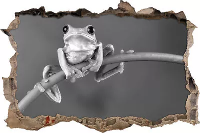 Tree Frog On Bamboo Art B&W - 3D Look Breakthrough Wall Tattoo Sticker Sticker • £17.20