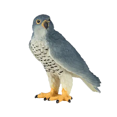 Mojo PEREGRINE FALCON Toy Model Figure Kids Plastic Animal Bird Of Prey Figurine • £7.95