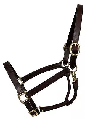 English Or Western Cob Size Horse Triple Stitch Leather Turnout Halter Dk Brown • $26.82