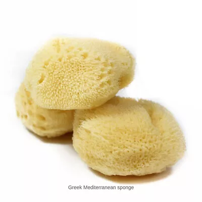 Premium Quality Uncut Formed Natural Greek Silk Sea Sponge Baby Bath 2''- 2.5'' • £4.43