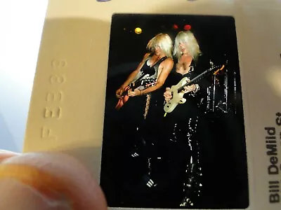 Vintage 80s Unpublished Hair/Glam/Rock/Metal/Band Slide Photo D'Molls         15 • $12