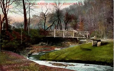 Vintage Postcard View In Olympia Park McKeesport Pennsylvania PA A9 • $4.99