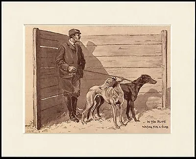 Greyhound Man And Dogs In The Slips Coursing Dog Print Mounted Ready To Frame • £6.99