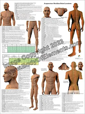2 Acupuncture Meridian Point Location Reference Posters 18  X 24  Charts • $24