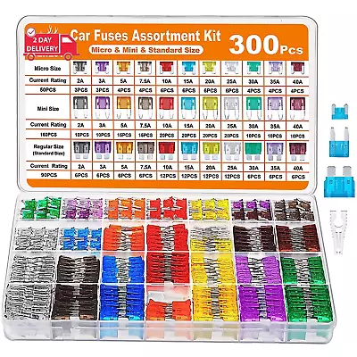 300Pcs Car Fuse Assortment Kit 160 Mini Blade Fuses Automotive + 90 Standard Au • $25.63