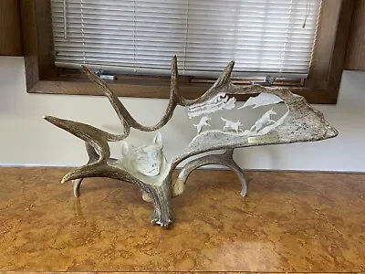 Moose Antler Carving -  His Dreams Of Youth” • $950