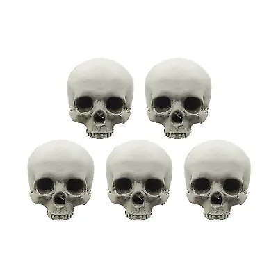 Human Skull Replica 1:12 Scale Cranium Only Bone (hand Painted) Miniature • $22