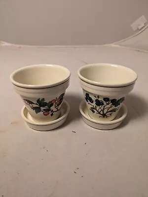 Villeroy & Boch Petite Fleur 2.75  Flower Pot & Saucer Berries PAIR Blueberry • $30