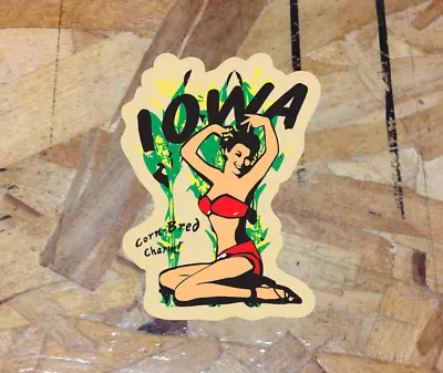 Iowa Vintage Pinup Style Travel Decal Sticker RV Camper Trailer Luggage - 5  • $3.99