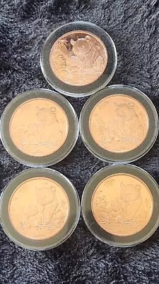 Lot Of 5 - 1 Oz. .999 Fine Copper Rounds In Capsules - Panda And Cub • $0.99