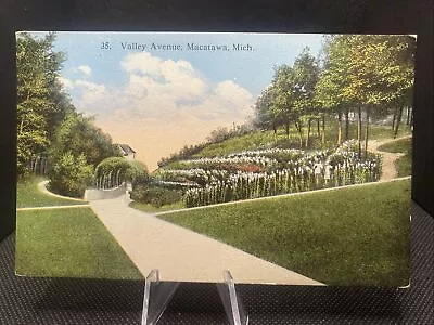 Valley Avenue Macatawa Michigan Flower Landscapes Roadways Ground Postcard C12 • $4.40