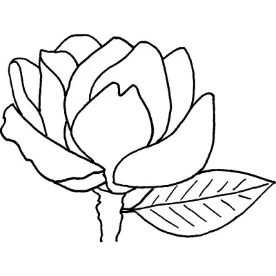 'Magnolia Flower' Unmounted Rubber Stamp (RS012551) • £3.99