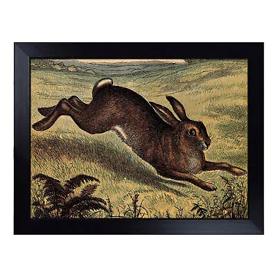 Vintage Tame Animals Hare Lap Tray Cushioned Bean Bag Padded TV Dinner Desk • £29.95