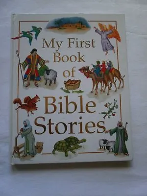 My First Book Bible Story By Hilary Hammond Kate Hughes Andrew Shepherd • £2.51