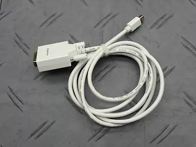 Startech.com Mini Display Port To DVI Adapter MDP2DVIMM6B White • $5.99