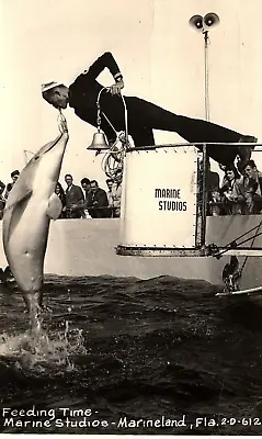 1950 St Augustine Marineland Florida Feeding Time Dolphin Rppc Postcard P878 • $17.68