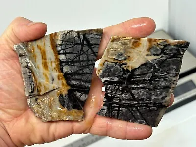 Picasso Marble (Jasper) Slabs Cabbing Lapidary Utah Combo Ship Avail • $16