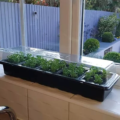 £18.99 • Buy 3 X Window Sill Propagator Kit Indoor Greenhouse Seed Starter Tray Lidded