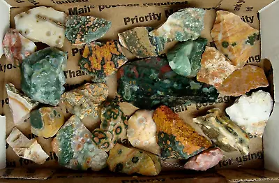 One Pound Ocean Jasper Rough From Madagascar Tumble Cabochons Or Specimen • $140