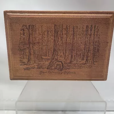 Vntg Pyrography Soft Wooden Giant Redwoods Of California Souvenir Dovetail Box • $14.99