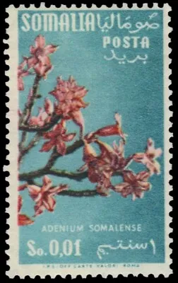 SOMALIA 198 - Flowers  Adenium Somalense   1955 Print (pa82425) • $1.71