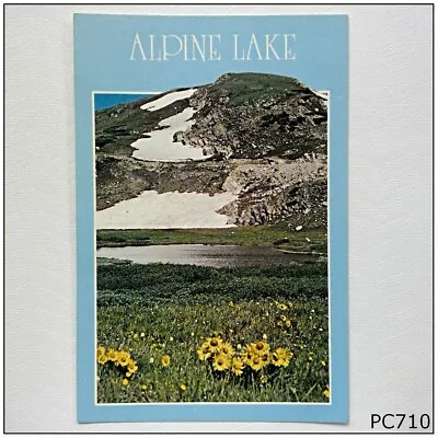 Alpine Lake At Timberline Near The Continental Divide Rocky Mtn. Postcard (P710) • $4.99