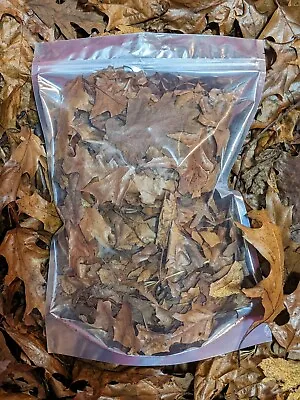 1 Gallon Oak Leaf Litter Heat Sterilized Bioactive Isopod Springtail Millipede • $10