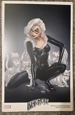 J Scott Campbell Black Cat SDCC 11x17 Art Print  • $39.99