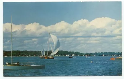 Holland MI Lake Macatawa Sail Boats C1959 Postcard Michigan • $3.97