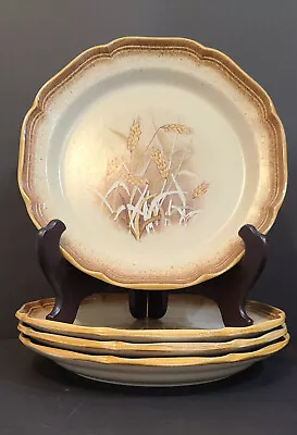 Mikasa Whole Wheat Granola Dinner Plate 10 3/4  E8001 - SET OF 4 - NEVER USED! • $48