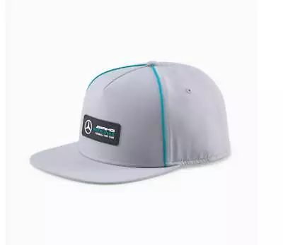 Mercedes-AMG Petronas Motorsport F1 Silver Flat Brim Hat • $19.95