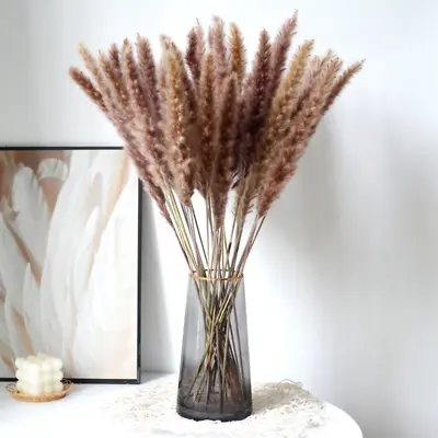 12Pcs Pampas Grass Natural Dried Flower Feather Bouquet Vase Decor Floral Bunch • £5.79