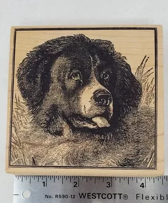 Dog Portraitl Large Rubber Stamp 4.25  Square  • $5.99