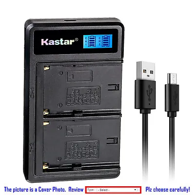 Kastar Battery LCD Dual Charger For Panasonic PV-SD4090 PV-SD5000 VM-VBD1 • $9.99
