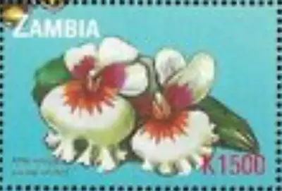 Zambia #Mi1144 MNH 2000 Miltoniopsis Pansy Orchid [872a] • $2.30