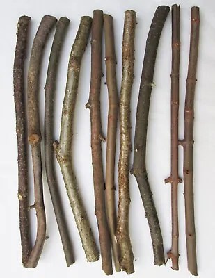 £19.99 • Buy 10 X Mix Variety RHYTHM Natural Stick Bark Wood For Rattles Drum Sticks Music